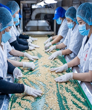 Chất Lượng Sản Phẩm