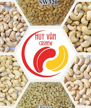 Những Sản Phẩm Chủ Lực Của Chúng Tôi !